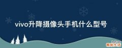 vivo升降摄像头手机什么型号