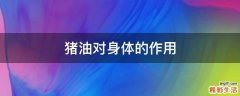 猪油对身体的作用