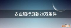 农业银行贷款20万条件
