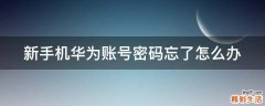 新手机华为账号密码忘了怎么办