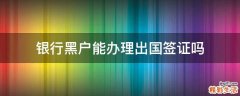 银行黑户能办理出国签证吗
