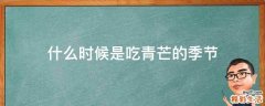 什么时候是吃青芒的季节