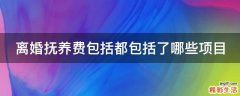 离婚抚养费包括都包括了哪些项目