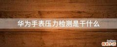 华为手表压力检测是干什么