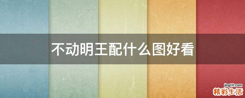 不动明王配什么图好看