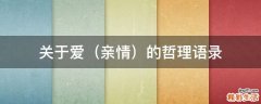 亲情 关于爱的哲理语录