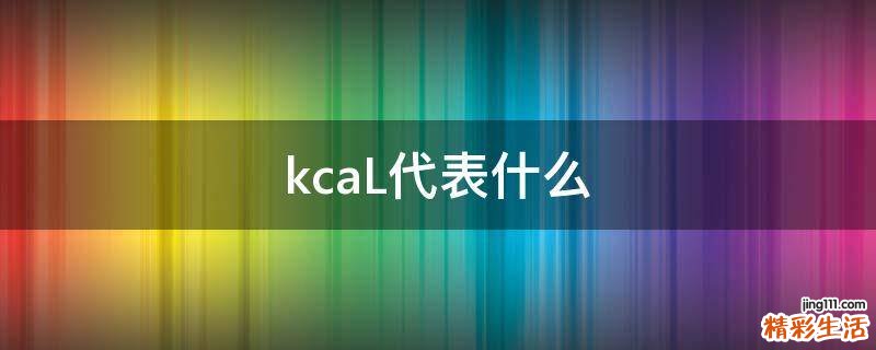 kcaL代表什么