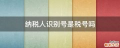 纳税人识别号是税号吗