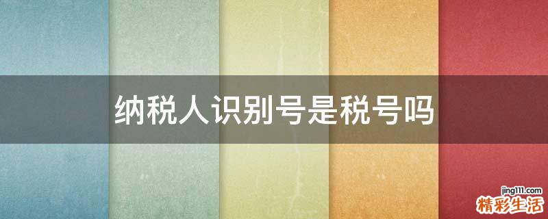 纳税人识别号是税号吗