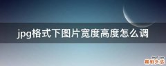 jpg格式下图片宽度高度怎么调