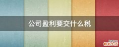 公司盈利要交什么税