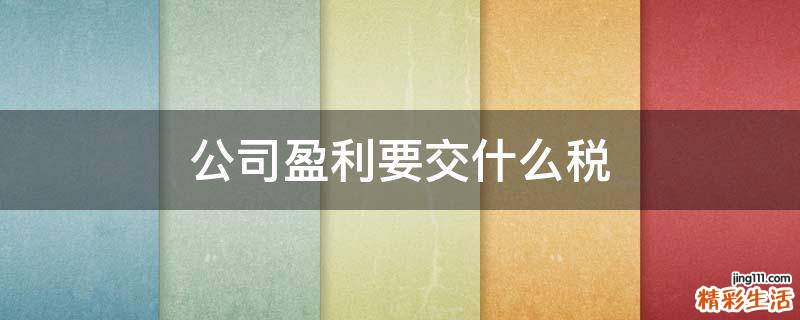 公司盈利要交什么税
