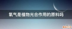 氧气是植物光合作用的原料吗