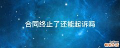 合同终止了还能起诉吗