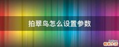 拍翠鸟怎么设置参数