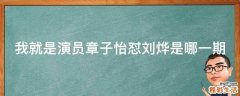 我就是演员章子怡怼刘烨是哪一期