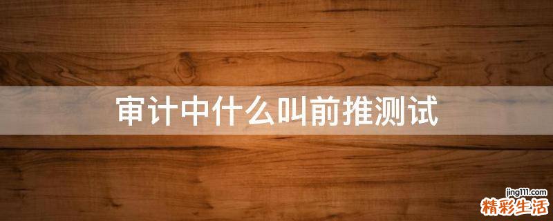 审计中什么叫前推测试
