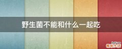 野生菌不能和什么一起吃
