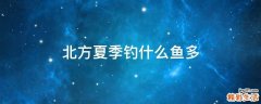 北方夏季钓什么鱼多