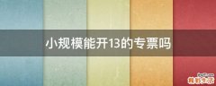 小规模能开13的专票吗