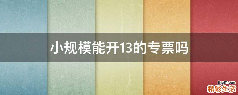 小规模能开13的专票吗
