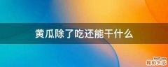 黄瓜除了吃还能干什么