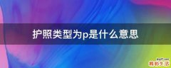 护照类型为p是什么意思