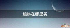 貔貅在哪里买