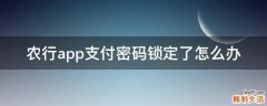 农行app支付密码锁定了怎么办