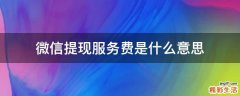 微信提现服务费是什么意思