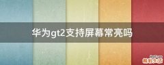 华为gt2支持屏幕常亮吗