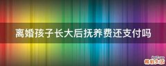 离婚孩子长大后抚养费还支付吗
