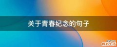 关于青春纪念的句子