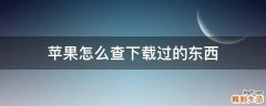 苹果怎么查下载过的东西