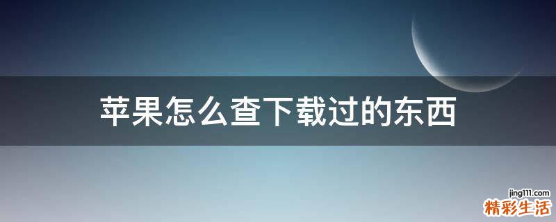 苹果怎么查下载过的东西