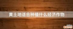 黄土地适合种植什么经济作物