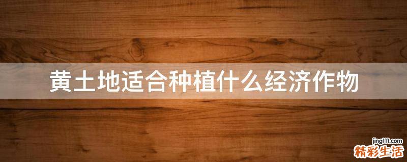 黄土地适合种植什么经济作物