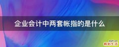 企业会计中两套帐指的是什么