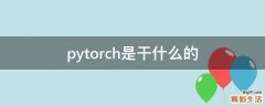 pytorch是干什么的