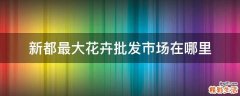 新都最大花卉批发市场在哪里
