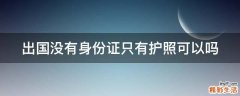 出国没有身份证只有护照可以吗