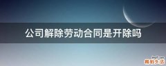 公司解除劳动合同是开除吗