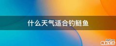 什么天气适合钓鲢鱼