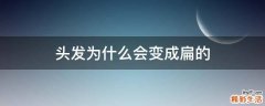 头发为什么会变成扁的