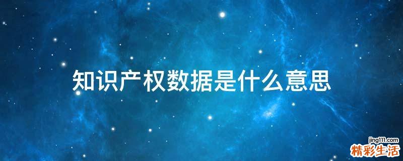 知识产权数据是什么意思
