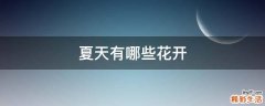 夏天有哪些花开