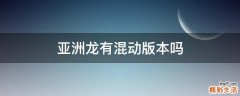 亚洲龙有混动版本吗