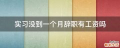 实习没到一个月辞职有工资吗