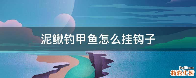 泥鳅钓甲鱼怎么挂钩子