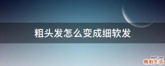 粗头发怎么变成细软发